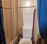 Badezimmer in einem Studio-Apartment mit Toilette und Duschkabine, Fliesen mit dekorativem Element.