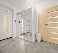 Eingangsbereich mit Holzboden, Spiegelschrank und hellen Türen in einem Einfamilienhaus.