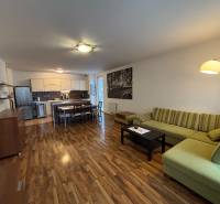 Wohnzimmer mit Küche, grünes Sofa, Küchenzeile und Boden mit Holzdekor.