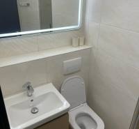 Badezimmer in einer Einzimmerwohnung mit Waschbecken, Spiegel und WC. Boden mit Holzdekor.