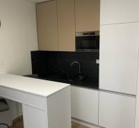 Küchenzeile in einer Einzimmerwohnung mit schwarzer Verkleidung und Boden in Holzoptik.