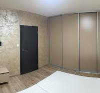 Schlafzimmer in einer Einzimmerwohnung mit Holzboden, Einbauschrank und TV-Halterung.