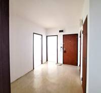 Eingangsbereich einer Vierzimmerwohnung mit Holzboden und Holztüren.