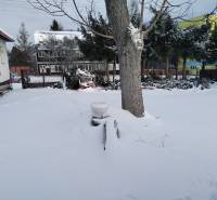 Ein verschneiter Garten eines Einfamilienhauses in der Hájska-Straße in Martin, ein Baum in der Mitte des Raumes.