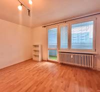 Ein Zimmer in einer 3-Zimmer-Wohnung mit einem Boden in Holzoptik und einem großen Fenster.