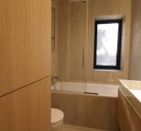 Badezimmer mit Badewanne und Waschbecken in einer 4-Zimmer-Wohnung mit Holzelementen.