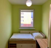 Ein Zimmer in einer 3-Zimmer-Wohnung mit grünen Wänden, einem Bett und einem Fenster.