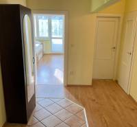 Der Flur in der 3-Zimmer-Wohnung mit einem Boden in Holzoptik und einem Einbauschrank.