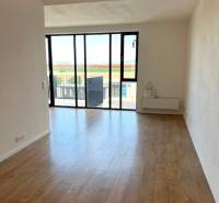 Helles Wohnzimmer mit großen Fenstern und Holzboden in einer 2-Zimmer-Wohnung.