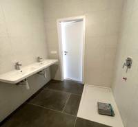 Badezimmer mit Doppelwaschbecken und Duschkabine in einer 2-Zimmer-Wohnung. Sauberes Design.