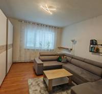 Ein Wohnzimmer in einem Einfamilienhaus mit einem Sofa, einem Bücherregal und einem Boden mit Holzdekor.