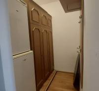 Der Flur einer Einzimmerwohnung mit Holzschränken und einem Boden in Holzoptik.