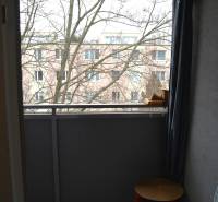 Balkon einer 3-Zimmer-Wohnung mit Blick auf die umliegende Architektur und einen Baum im Hintergrund.