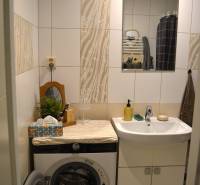 Badezimmer in einer 3-Zimmer-Wohnung mit Spiegel, Waschbecken und Waschmaschine.