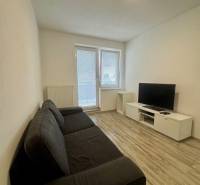 Wohnzimmer in einer Zweizimmerwohnung mit Sofa, Fernseher und Holzboden.