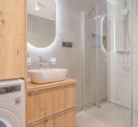Badezimmer in einer 2-Zimmer-Wohnung mit Waschbecken, Dusche und Waschmaschine.