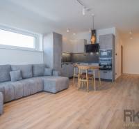 Wohnzimmer in einer Zweizimmerwohnung mit grauem Sofa und Küche mit Holzmöbeln.