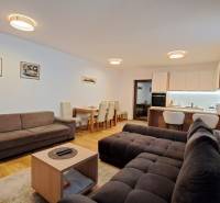 Wohnzimmer einer Zweizimmerwohnung mit Sofas, Esstisch und Küche, Boden mit Holzdekor.