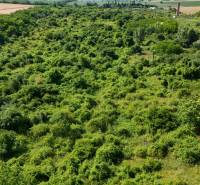 Grün bedeckt ausgedehnte Grundstücke - Gewerbe in Ivanka pri Nitre, umgeben von Feldern und Bäumen.