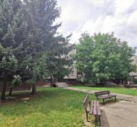 Parkbänke und Bäume vor einem Wohnhaus in Bratislava - Podunajské Biskupice in der Priekopnícka-Straße.