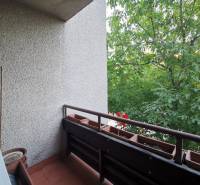 Balkon mit Blumenkästen und Blick ins Grüne in einer 4-Zimmer-Wohnung.