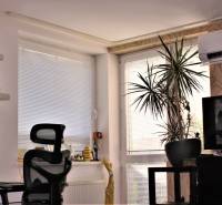 Wohnzimmer in einer Einzimmerwohnung mit Klimaanlage, Fernseher und Zimmerpflanze.