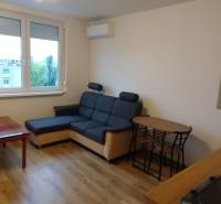 Wohnzimmer in einer Einzimmerwohnung mit Holzboden, Sofa und Tisch.