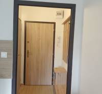 Innenraum eines Einzimmerapartments mit Holzboden und Holztüren.