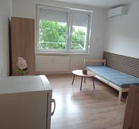 Das Studio hat einen Boden in Holzoptik, ein ausziehbares Sofa und einen Tisch mit einer Pflanze.