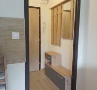 Der Flur in der Einzimmerwohnung mit einem Holzboden und einer Garderobenwand.