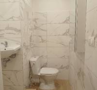 Badezimmer eines Einzimmerapartments mit Toilette, Waschbecken und Boden in Holzoptik.