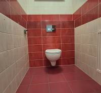 Badezimmer im Einfamilienhaus mit hängendem WC, roten Fliesen, kleinem Fenster, Fliesenboden.