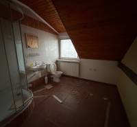 Badezimmer in einem Einfamilienhaus mit Waschbecken, Duschkabine und Holzverkleidung an der Decke.