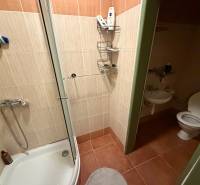 Badezimmer in einem Einfamilienhaus mit Fliesen, Dusche und WC ohne Fenster.