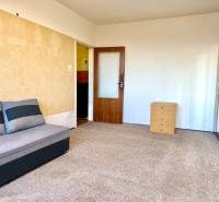 Ein Zimmer mit Teppichboden, Sofa und Schrank in einer Einzimmerwohnung.