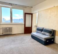 Wohnzimmer in einer Einzimmerwohnung mit einem Sofa und einem großen Fenster mit Licht.