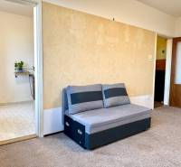 Graues Sofa und Teppich im Zimmer einer Einzimmerwohnung, helle Wände mit Dekor, Eingang zur Küche.