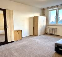 Ein Zimmer in einer Einzimmerwohnung mit Möbeln und Teppich, helle Wände, großes Fenster.