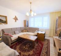 Wohnzimmer in einer 3-Zimmer-Wohnung mit Sofa, rotem Teppich und Deckenleuchte.