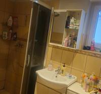 Ein Badezimmer in einem Einfamilienhaus mit Fliesen, einer Duschkabine und Kosmetikartikeln auf den Regalen.