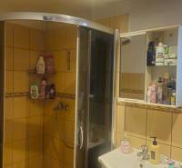 Badezimmer mit einer Eckdusche und einem Spiegelschrank, Einfamilienhaus.