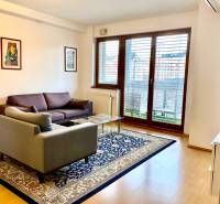 Wohnzimmer mit Sofa, Sessel, Teppich und großem Fenster in einer Zweizimmerwohnung.