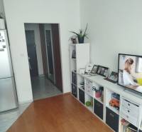 Einzimmerwohnung mit Holzboden, Fernseher und Stauraum.