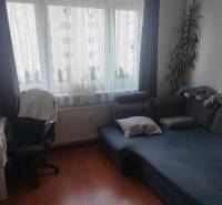 Einzimmerwohnung mit Sofa, Schreibtisch und Holzboden.