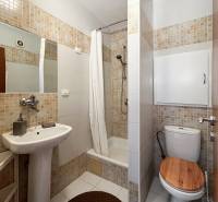 Badezimmer mit Dusche, Waschbecken und Toilette in einer Einzimmerwohnung.