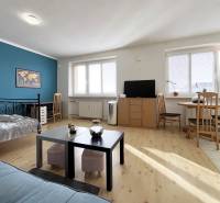 Einzimmerwohnung mit Holzboden, Couchtisch und blauer Wand.