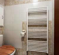 Badezimmer in einer Einzimmerwohnung, mit weißen und Mosaikfliesen, Handtuchheizkörper und Toilette.