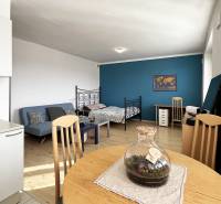 Innenraum einer Einzimmerwohnung mit Holzboden, Sofa und Schreibtisch.