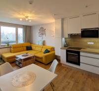 Wohnzimmer in einer 3-Zimmer-Wohnung mit Sofa, Weihnachtsbaum und Küchenzeile.