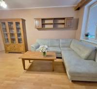 Wohnzimmer in einer 2-Zimmer-Wohnung mit Ecksofa, Holzelemente ergänzen das Interieur.